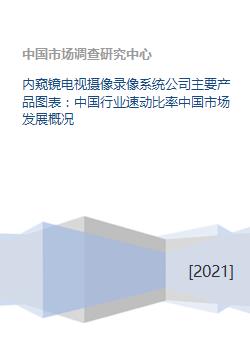 內(nèi)窺鏡電視攝像錄像系統(tǒng)與軟件開發(fā) 中國市場發(fā)展概況及行業(yè)速動(dòng)比率分析