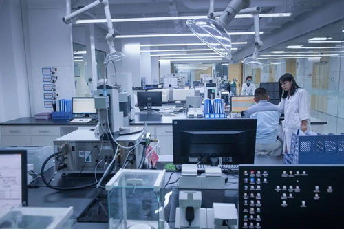 攝影師鏡頭下的dyetdz丨發展篇 生物基材料技術研發的光影記錄與未來藍圖