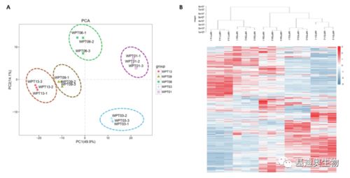 基迪奧植物廣靶代謝組學技術驅動生物基材料創新，助推單組學研究登頂頂尖期刊